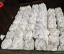 Ammonium sulfate exp