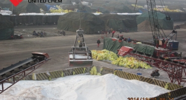 China urea price update-Jan 05-2017